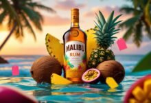 Malibu Rum Price in USA 2025